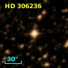 HD 306236