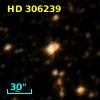HD 306239