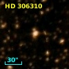 HD 306310