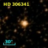 HD 306341