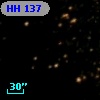 HH 137