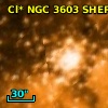 Cl* NGC 3603   SHER      23