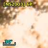 [NS2003]  6P