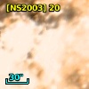 [NS2003] 20