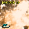 [NS2003] 29