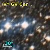 V* GV Car