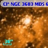Cl* NGC 3603    MDS       6