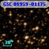 GSC 08959-01175