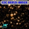 GSC 08959-00919