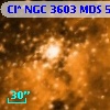 [SB2004] 10319