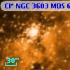 [SB2004] 10363