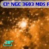 [SB2004] 10392