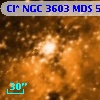 [SB2004] 10423