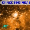 [SB2004] 10683