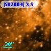 [SB2004] X  8