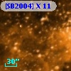 [SB2004] X 11