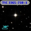 TYC 3365-710-1