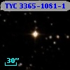 TYC 3365-1081-1