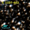 Cl Loden  309