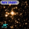 NSV 18685