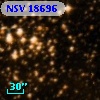 NSV 18696