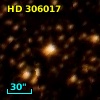 HD 306005