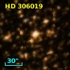 HD 306019