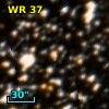 WR  37
