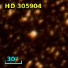 HD 305904