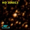 HD 306013