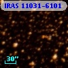 IRAS 11031-6101