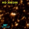 HD 308166