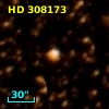 HD 308173