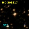 HD 308317