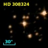 HD 308324