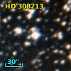 HD 308213