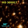 HD 305917