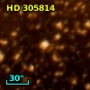 HD 305814