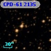 CPD-61  2135