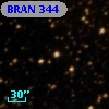 BRAN 344
