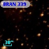 BRAN 339