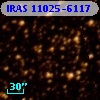 IRAS 11025-6117