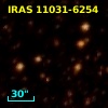 IRAS 11031-6254