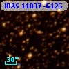 IRAS 11037-6125