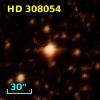HD 308054