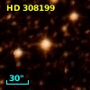 HD 308199
