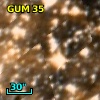 GUM 35