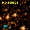 HD 305828