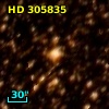 HD 305835
