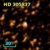 HD 305837
